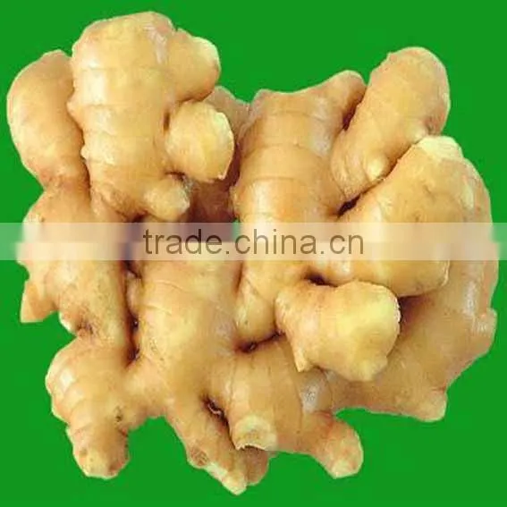 Canned Ginger photo-4
