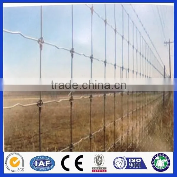 High Quality Field Fencing for Widely Use photo-2