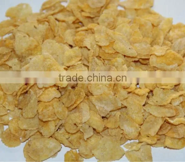 Factory Price Corn Flakes Breakfast Cereals Processing Line photo-4