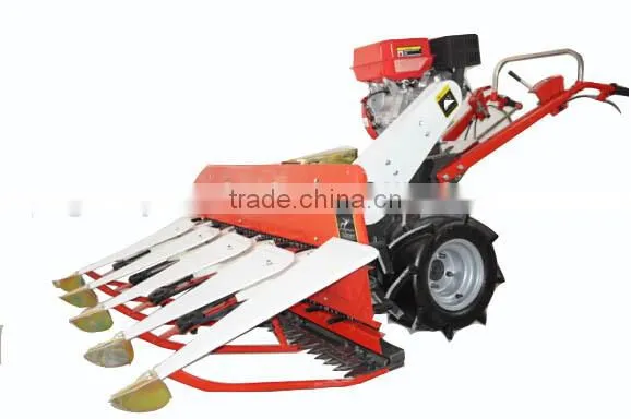 Cheap Multi-function Chili Windrower photo-5