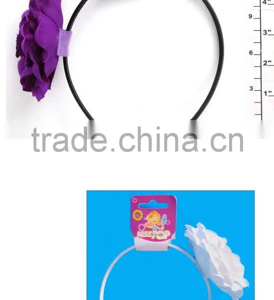 Novelty HairBand