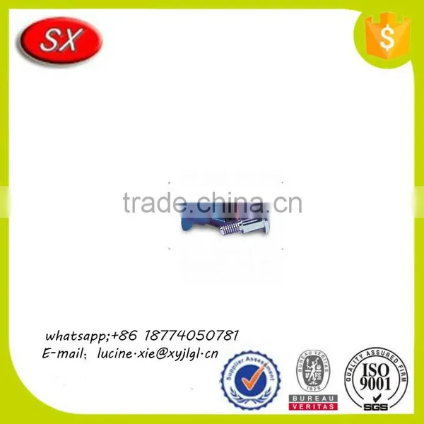 China Professsional Supplier Stainless Steel Hot Dip Galvanized Cheese Head Lag Bolt photo-5