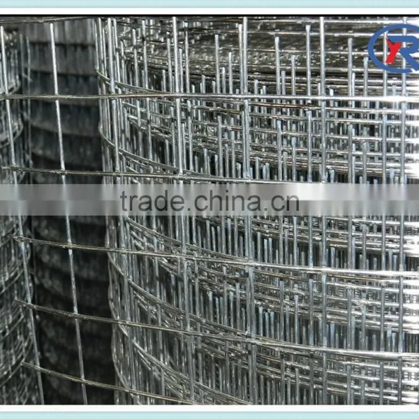 1x2,2x2 Galvanized Welded Wire Mesh Roll/panel photo-3