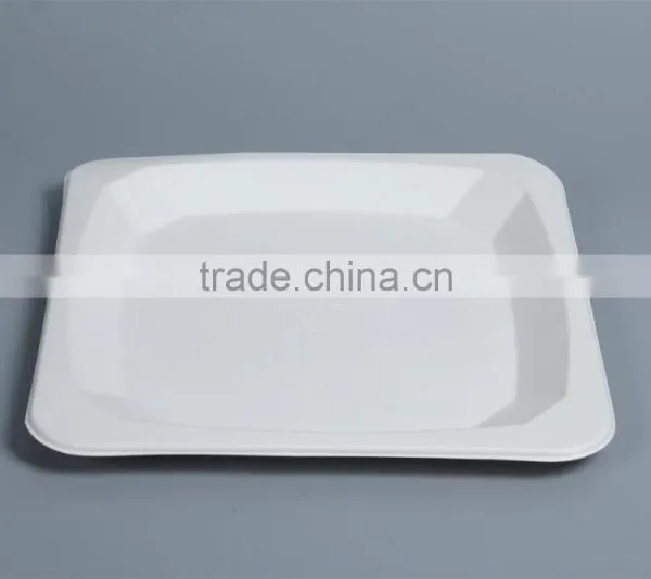 Disposable Compostable 10 Inch Food Trays Square Plates P037 photo-3