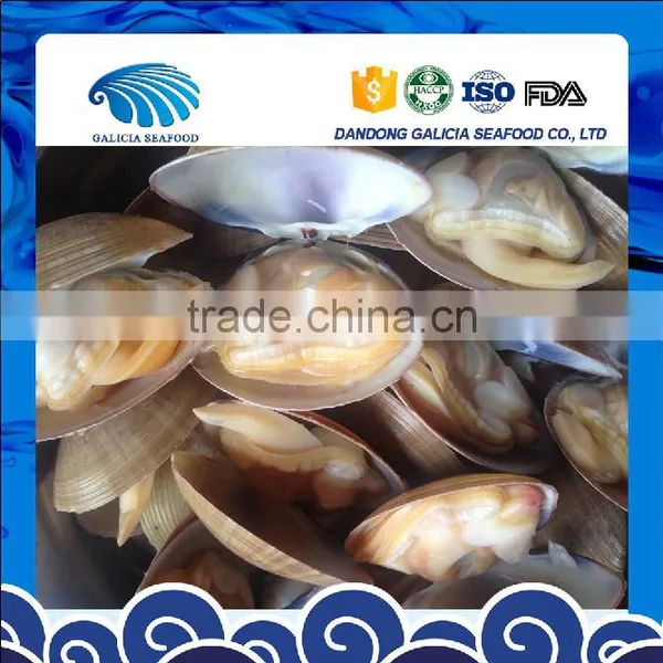 Frozen Clam Variety Surf Clam photo-2