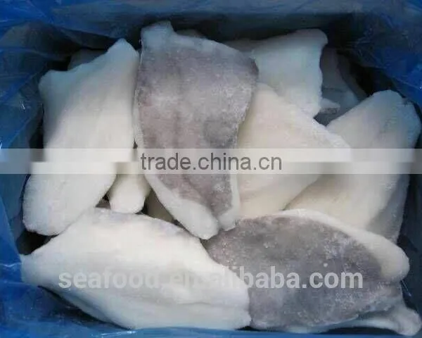 Frozen John Dory Fillets Skin On/off photo-3