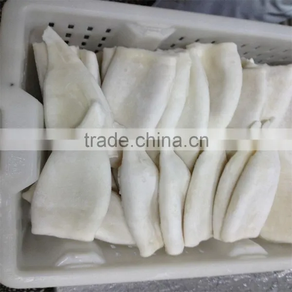 Frozen Pacific Squid Tube u5 u7 U10 photo-4