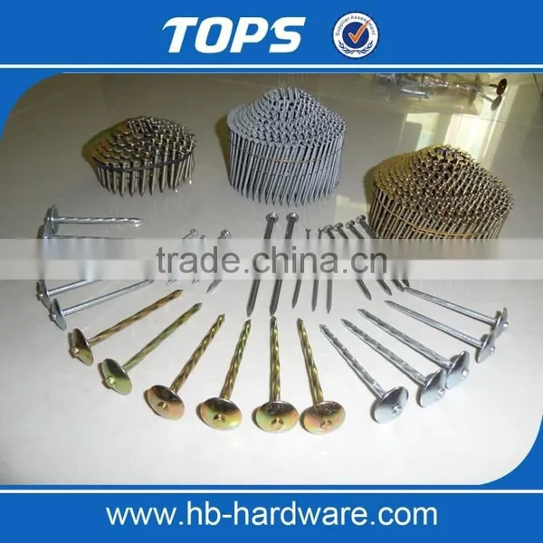 Twisted Shank/ Smooth Shank Umbrella Roofing Nails photo-4