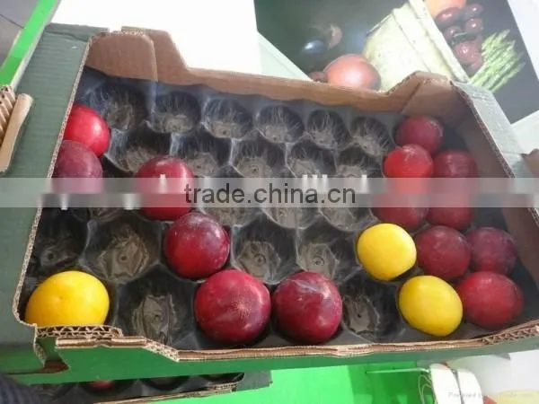 Golden Supplier Fruit Blister Packaging With Exporting Standard photo-3