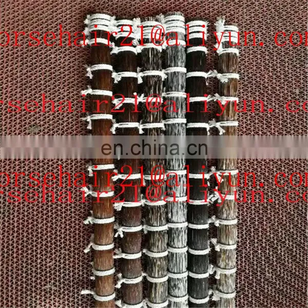 Supply Good Quality Mongolian MANE Horse Hair 10 Inches Long and 12 Inches Long photo-6
