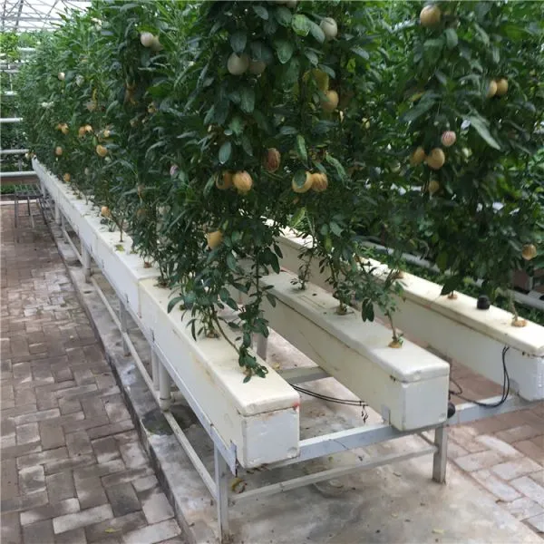 Agricultural Glass Greenhouse for Planting/Hydroponic Planting photo-2