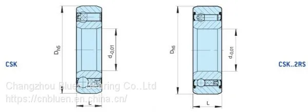 CSK8 - CSK40 Sprag Type One Way Freewheel Clutch Bearings photo-3