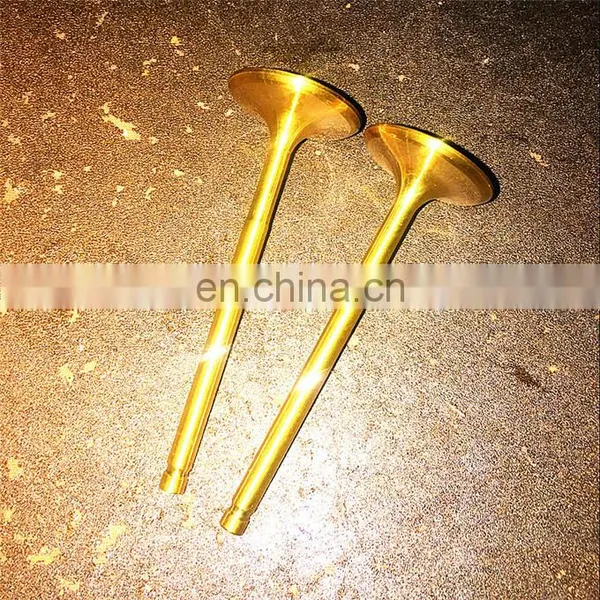 Diesel Engine Parts Inlet Valve Exhaust Valve for Wartsila 46 Vasa 32 L46C 9L32 32DF 32F 22 for Sale Spring Kits photo-6