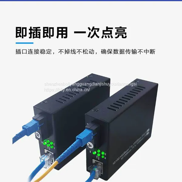 1F1E Series Media Converter photo-3
