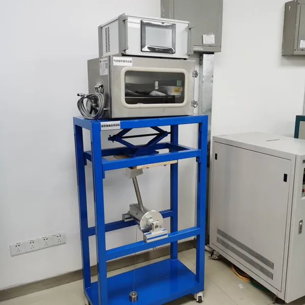 GAS Detectors Test Chamber photo-3