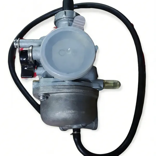 Motorcycle Engine Parts Carburetor for Italika 125-FL/125-FL PAR Motocicleta Repuestos photo-2