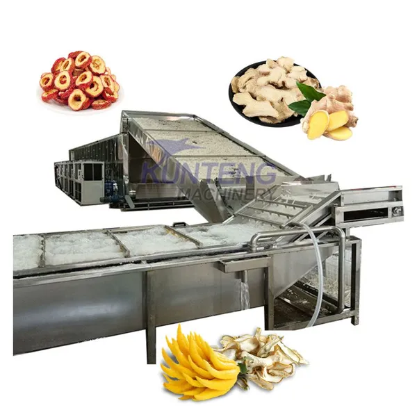 Whole Processing and Drying Line Plantain Prune Raisin Plum Betel Nut Pepper Washing Drying Machine