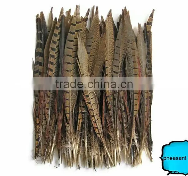 Wholesale Reeves Pheasant Tail Feathers, Natural Pheasant Tail Feathers photo-2