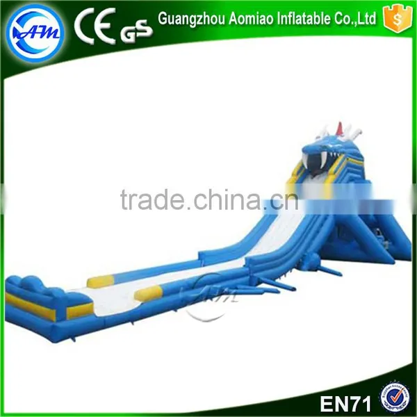 Hot Sale Crazy Giant Custom Slip n Slide Inflatable Pool Slide for Adult photo-4