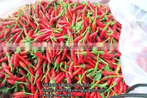 Fresh/Dried/Frozen/Powder Red Hot Chili From Vietnam! photo-5