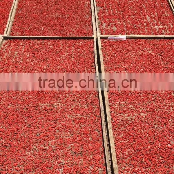 2016 DRIED WOLFBERRY Lycium Barbarum photo-2