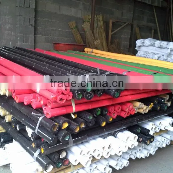 Ski Bamboo Pole