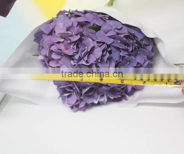 Elegant in Smell Top Sell Indoor Decoration Flower of Hydrangea photo-4