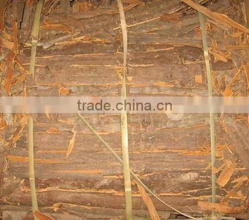 2014 New Crop Cassia Whole
