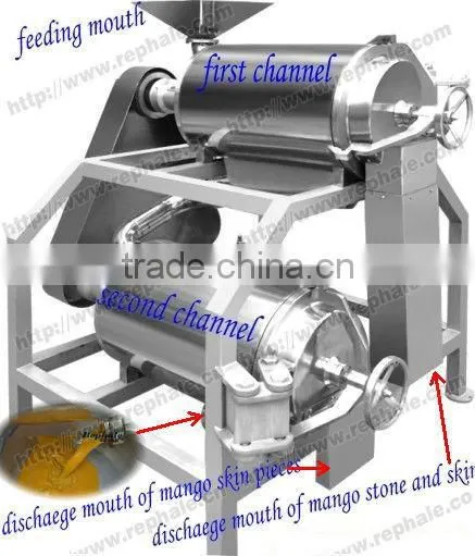 Best Selling Dual Track Fruit Pulp Making Machine photo-6