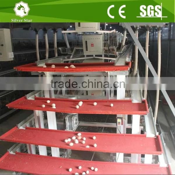 Silver Star Patent Egg Collection Equipments Useful For Layer Sheds Cages System photo-2