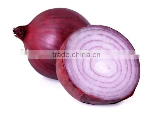 Hot Sale Fresh Red Onion With Good Quality for Sale photo-2