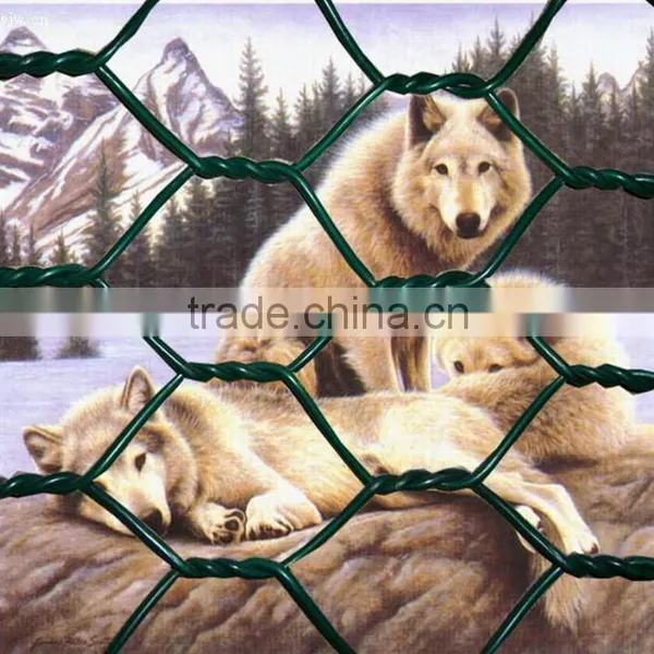 PVC Coated Gabion Mattress, Green Wire Gabion Box photo-3