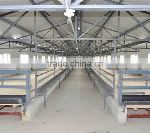 Framing Light Steel Building Steel Shade Structure photo-2
