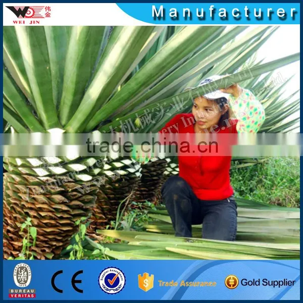 Latest Technology Automatic Sisal Extracting Machine photo-5