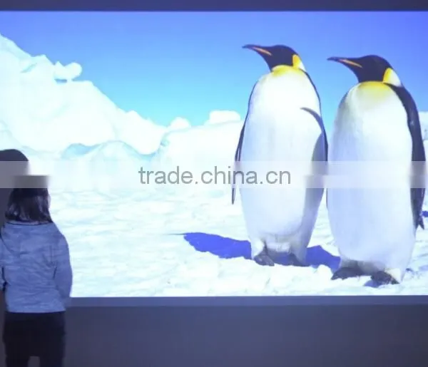 2D to 3D Full HD LED Projector C5D From China Manufacture photo-5