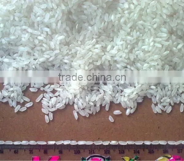 Calarose Rice