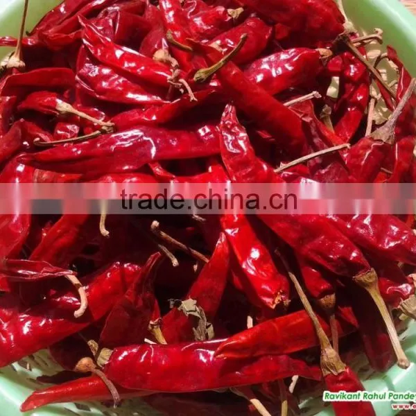 Bullet Red Pepper photo-4