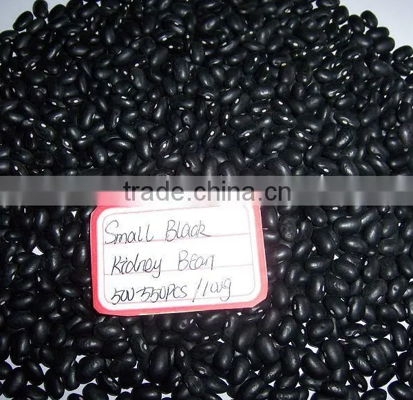 Small Black Bean Chinese Origin photo-4