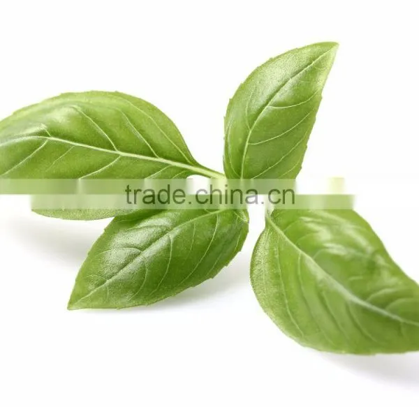High Quality Basil Oil photo-5