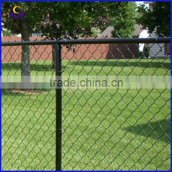Hot Sale PVC Coated Chain Link Wire Mesh Fence(Anping Factory) photo-2
