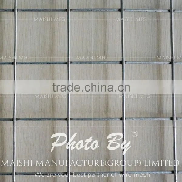 Electro Galvanized Welded Mesh photo-2