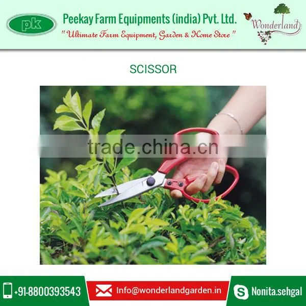 Superior Quality Top Selling Garden Scissor for Sale photo-2