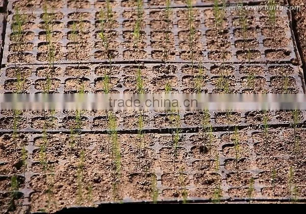 Wholesale Cheap Good Quality ps Cells Seedling Trays photo-5