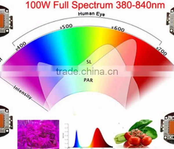 Full Spectrum Led Chips 100w ,led Chips 100w,100w Led Grow Chip for Vegetable photo-3