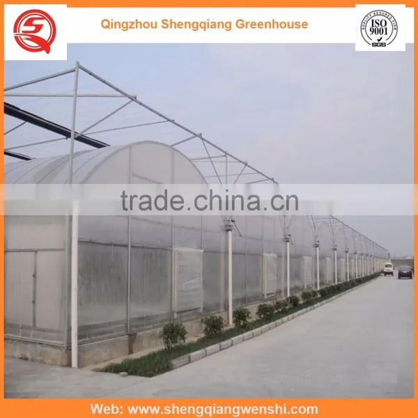 China Supplier Multi-span 8.0m PE Film Agriculture Greenhouse Plastic for Sale photo-2