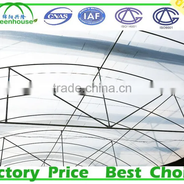 Film Cover Material and Multi-Span Agricultural Commercial Greenhouses photo-2
