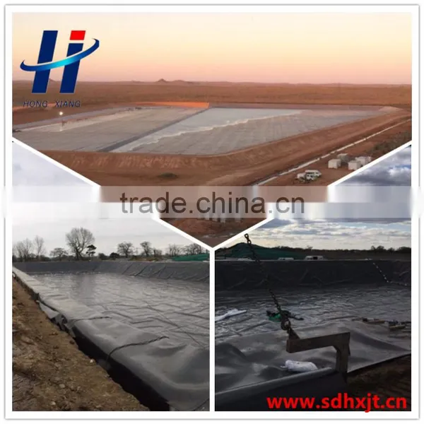 HDPE Material and Geomembranes Type Waterproof Liner HDPE Geomembrane Cheap Price for Pond and Lake Dam Geomembrane photo-4