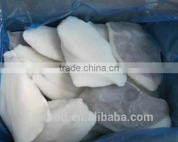 Frozen John Dory Fillets Skin On/off photo-2