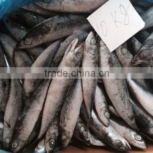 Frozen Seafood Mackerel Fish photo-3