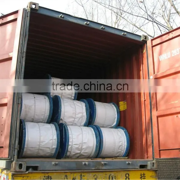 ASTM A475 EHS Hot Dipped Galvanized High Tensile Steel Wire photo-3